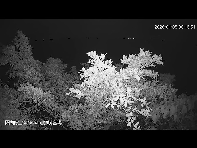 頭城合興即時影像 cctv 監視器 即時交通資訊