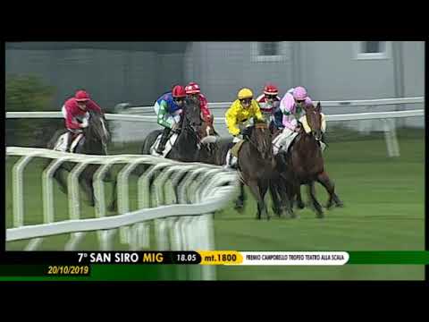 2019.10.20 Premio Campobello (ITA) - Aurelius In Love