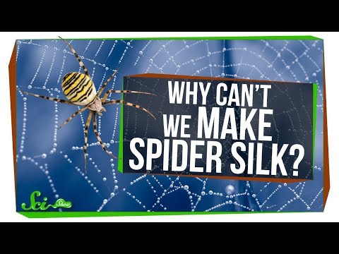 Why Can't We Make Spider Silk?