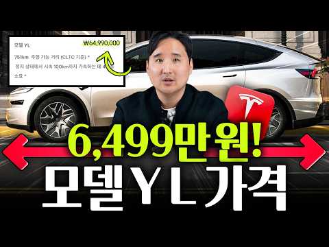 6천만 원대 유력… 테슬라 모델 Y 롱, 국내 전기차 판 흔드나