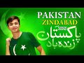 Pakistan Zindabad | Dil ki Himmat Watan | New Song 2023