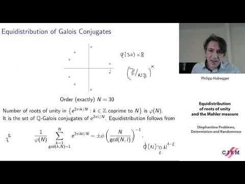 Philipp Habegger: Equidistribution of roots of unity and the Mahler measure