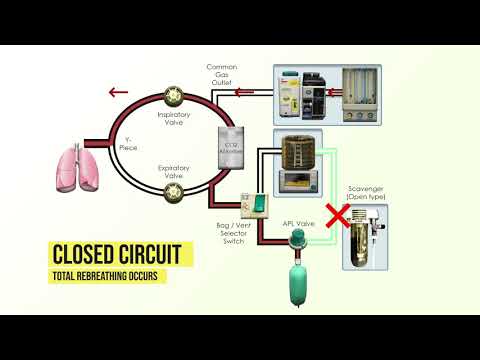 Anesthesia Machine Fundamentals