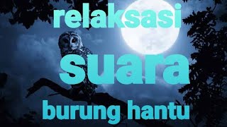 Download lagu Suara burung hantu & jangkrik dimalam hari untuk relaksasi & pengantar tidur mp3