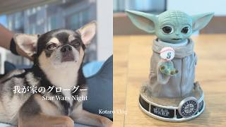 【日常Vlog｜アメリカ生活】Grogu Bobblehead Day｜のんびり過ごす休日
