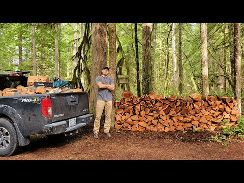 4 Day Firewood Haul at My Cabin in the Woods