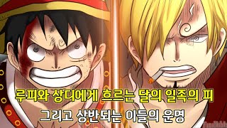 [원피스 분석]상디와 루피에게 흐르는 달의 일족의 피 그리고 상반되는 이들의 운명