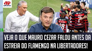‘Eu acho perfeitamente possível o Flamengo pensar em…’; veja o que Mauro Cezar falou