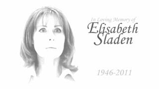 Doctor Who Memorial | Tears for Sarah Jane | Babelcolour