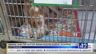 Illegal animal dumping leads to overcrowding at Hattiesburg shelter
