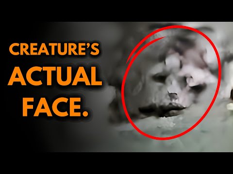 Bigfoot beim Beobachten in Neuseelands tiefen Wäldern erwischt