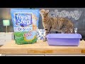 Fresh Step Cat Litter Chewy