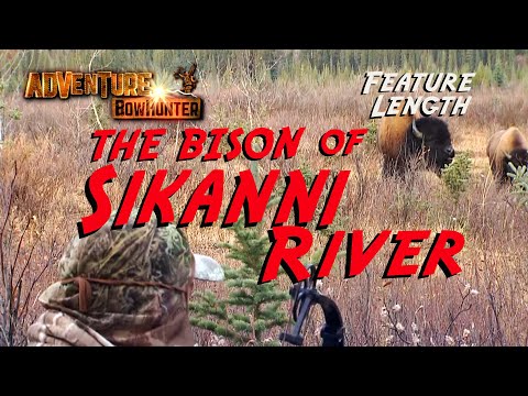 Beast of the Pink Mountains