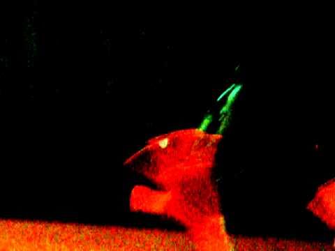 [fancam] ZE:A on the bus - Siwan fancam