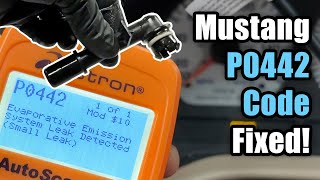 Fix Code P0442 on a Mustang