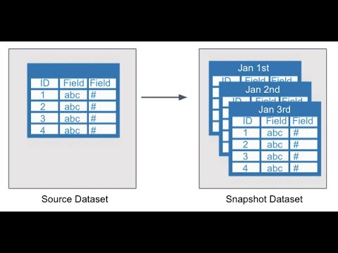What is a Data Snapshot?