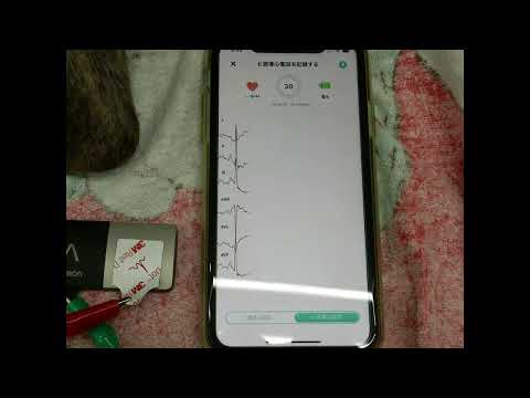 Measurement of VPC in a boxer dog with ARVC using portable  electrocardiography of OMRON