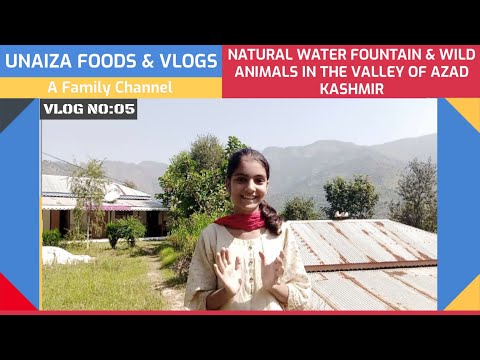Natural Water Fountain & Wild Animals In Valley Of Azad Kashmir | Unaiza Foods & Vlogs