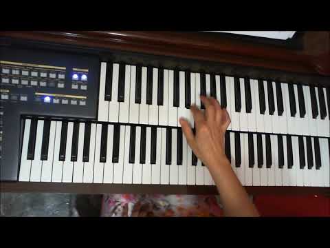 Hino 441 CCB Eu sou um cordeirinho Para Iniciantes