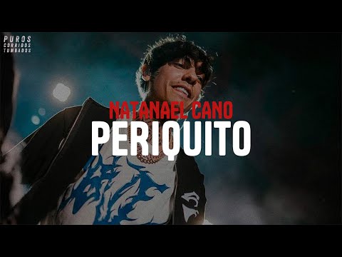 Natanael Cano  - Periquito (letra)