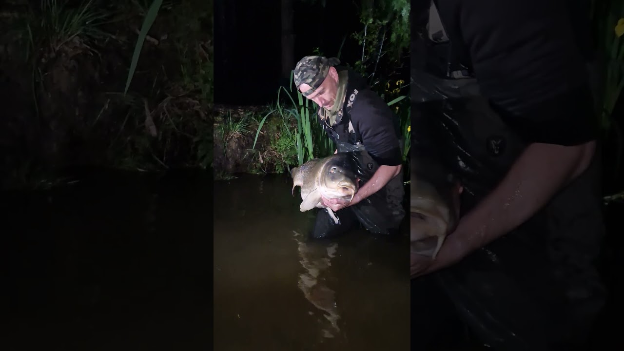 48lb 5oz- Etang Common - Etang Negreloube