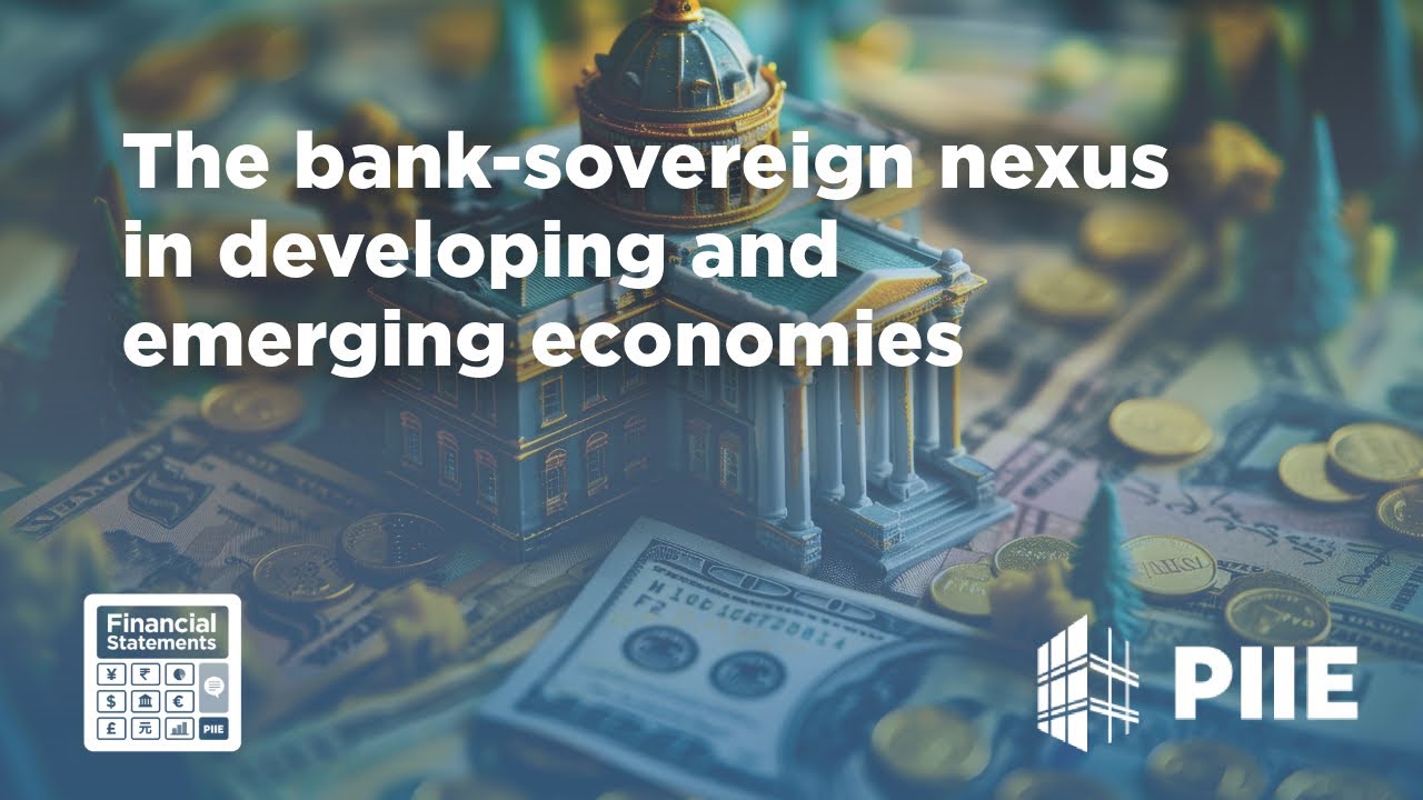 The bank-sovereign nexus in developing and emerging economies