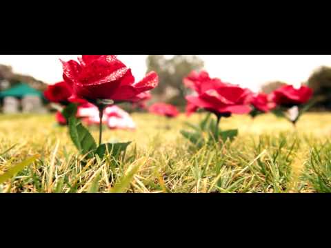 THE OTHER SIDE - TRAILER BLAZE DAILY - G DOUBLE = THE HIGHLIFE