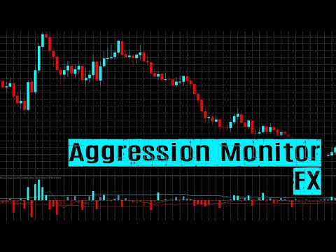 Video Aggression Monitor FX