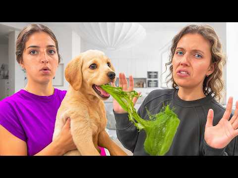 My BEST FRIENDs Dog is SICK! He Won’t Stop THROWING UP…🤢