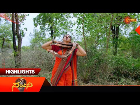 Nandini - Highlights of the day | Watch full EP Sun NXT | 20 Jan 2026 | Gemini TV