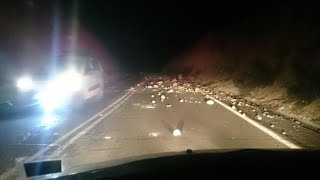 What is Happening to Our World? (2016-2017 Events)