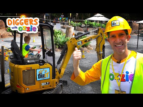 Kids Driving Real Diggers | Excavator Fun with Ozzie