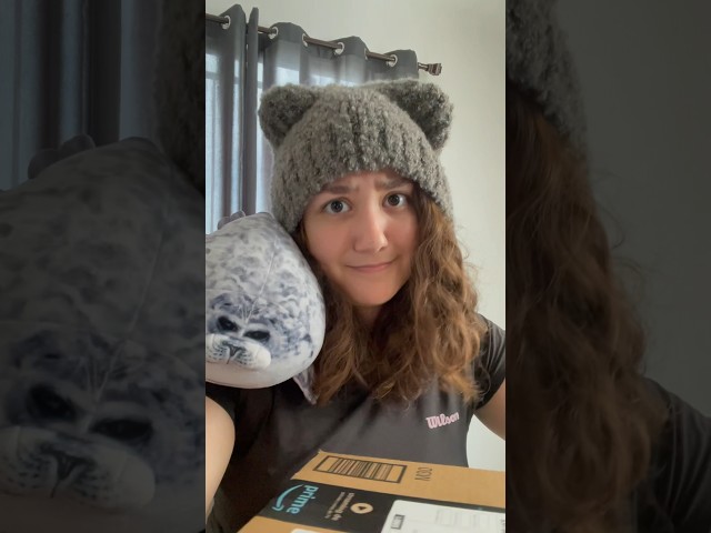 Vídeo relacionado con KIRZAX Peluche Foca Almohada para Abrazar, 30cm Lindo Peluche de Foca Regordeta, Regalo para Niños y Amigos