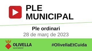 Ple ordinari del 28 de març de 2023