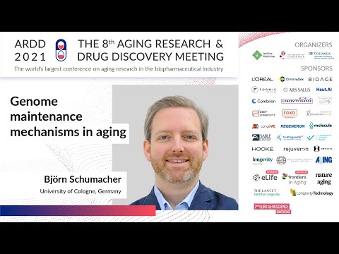 Björn Schumacher presents at ARDD 2021