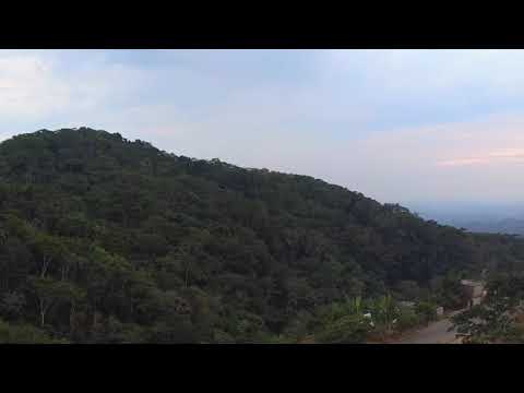 Cordón del jilguero