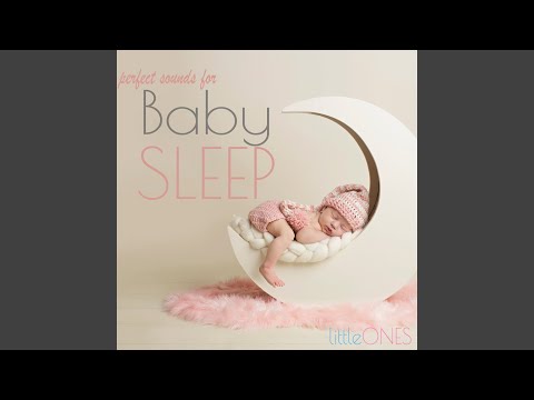 Baby Sleep Shhh: The Perfect Settling Tool for Babies!