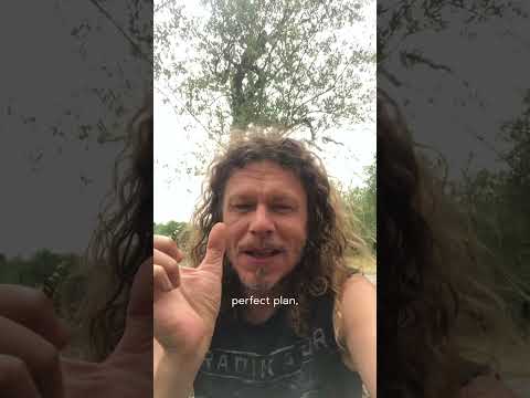 Rational Intuition