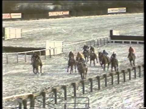 1987 Tote Cheltenham Gold Cup Chase