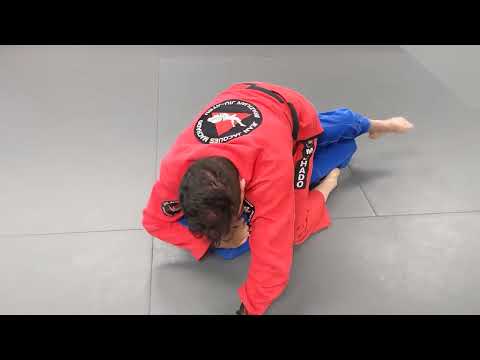 Jean Jacques Machado Rolling with Purple Belt Student