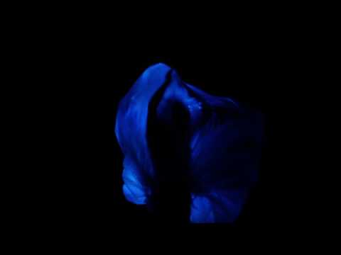 IMPATV 047 TOMAGA - THE SHAPE OF THE  DANCE OFFICIAL