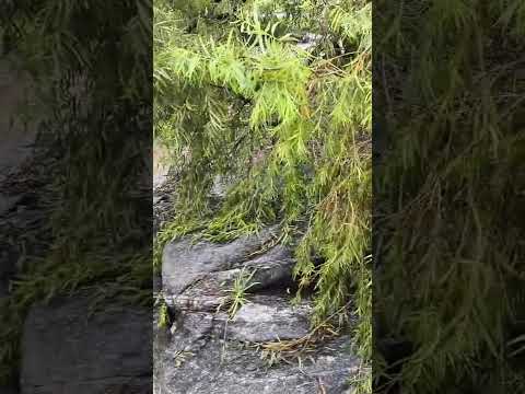 Alta Gracia- Córdoba #viral #01tendencias #love #tendencia