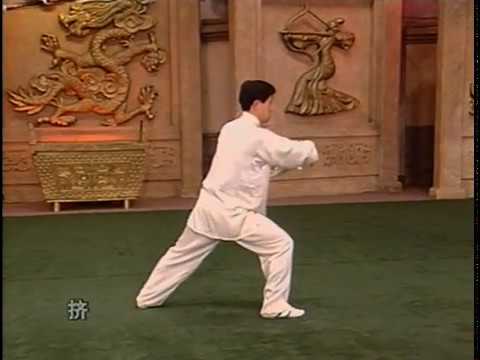 Chen Taiji Pushing Hands (陳 氏 太 極 推 手)