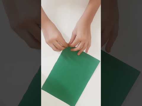 #paper flowers 🌺🌿