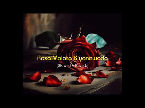 Rosa Malata Kiyanawada | Slowed & Reverb | Cover Song...☆