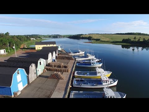 Above PEI - Lobster Fishery