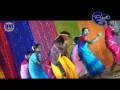 Dila Ke Samralo Adhunik Nagpuri Song Sadri Song Shiva Music Jhollywood
