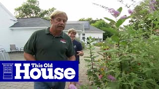How to Plant a Butterfly Garden - This Old House