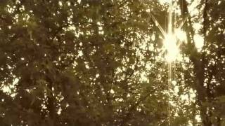 Lee Hazlewood - My Autumn's Done Come - visualized