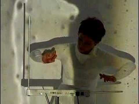 supertalent 2009 theremin, seaweed